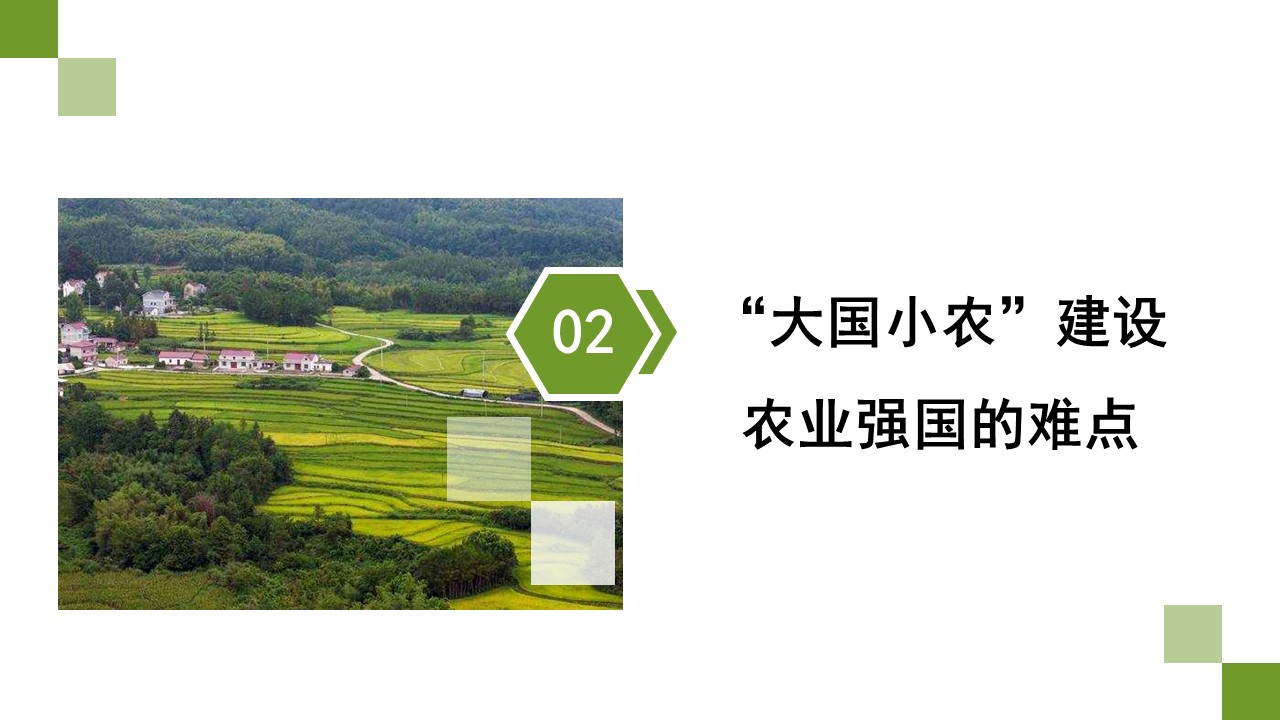 幻燈片7.JPG